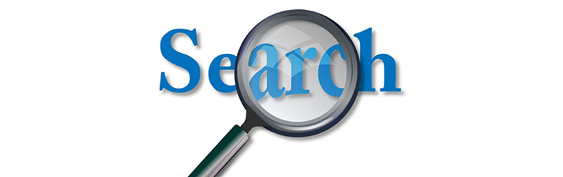 What Are Search Engine Rankings? Why Do They Matter?